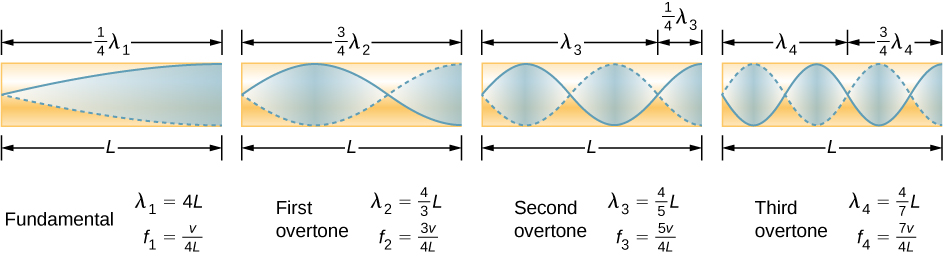 Picture is a diagram of the fundamental and three lowest overtones for a tube closed at one end. Fundamental has one-fourth of its wavelength in a tube. First overtone has three-fourth of its wavelength in a tube, second overtone has five-fourth of its wavelength in a tube, third overtone has seven-fourth of its wavelength in a tube. All have maximum air displacements at the open end and none at the closed end.