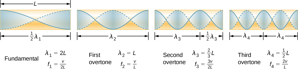 Picture is a diagram of the fundamental and three lowest overtones for a tube closed at one end. Fundamental has half of its wavelength in a tube. First overtone has one of its wavelength in a tube, second overtone has one and a half of its wavelength in a tube, third overtone has two of its wavelength in a tube. All have maximum air displacements at both ends of a tube.