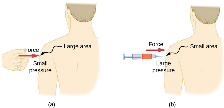 Figure A is a drawing of a person being poked with a finger in a shoulder. The force of the finger is shown taking up a larger area, which produces only a small amount of pressure. Figure B is a drawing of a person being poked with a syringe with needle in a shoulder. The force of the syringe is shown taking up a smaller area, which produces a large amount of pressure.
