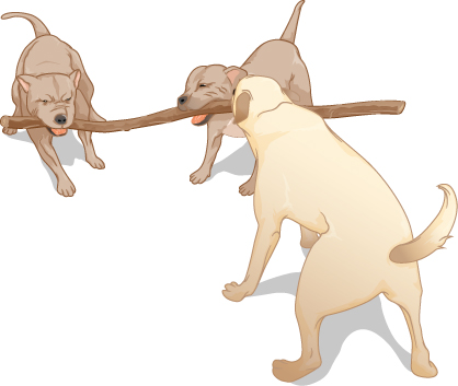 Three dogs pull on a stick.