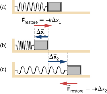 Figure a shows a spring. It is fixed to a wall on the left and a mass is attached to it on the right. An arrow points right. It is labeled F subscript restore is equal to minus k delta x 1. Figure b shows the spring compressed. An arrow points left and is labeled delta x1. Figure c shows the spring stretched to the right. An arrow pointing right is labeled delta x2. An arrow pointing left is labeled F subscript restore equal to minus k delta x2.