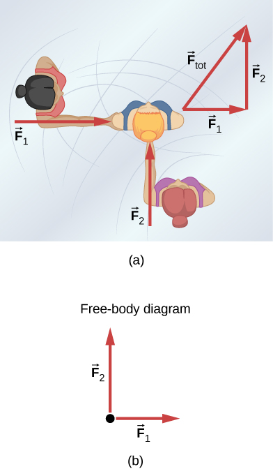 (a) Overhead view of two ice skaters pushing on a third. One skater pushes with a force F one, represented by an arrow pointing to the right, and a second skater pushes with a force F two, represented by an arrow pointing up. Vector F one and vector F two are along the arms of the two skaters acting on the third skater. A vector diagram is shown in the form of a right triangle in which the base is vector F one pointing to the right, and perpendicular to F one is vector F two pointing up. The resultant vector is shown by the hypotenuse pointing up and to the right and is labeled as vector F sub tot. (b) Free body diagram showing only the forces F sub one and F sub 2 acting on the skater.