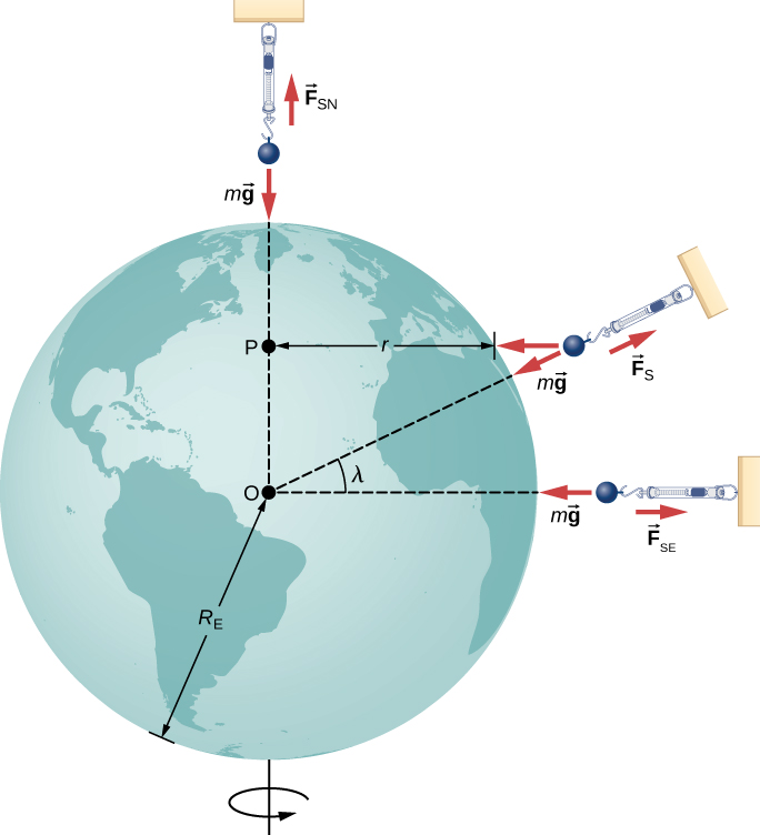 An illustration of the earth, rotating on its north-south axis, with masses on spring scales shown at three locations. The radius of the earth is labeled as R E, its center is labeled as O. One spring scale is above the north pole. An upward force F S N and a downward force m g are shown acting on the mass on this spring scale. A dashed line is shown from the center of the earth to the north pole. Another spring scale is shown to the right of the equator and a dashed line connects the center of the earth to the equator on the right side of the earth. The forces on the mass on this second spring scale are shown as a force F S E to the right and m g to the left. A third spring scale is shown at an angle lambda to the horizontal. A dashed line at this angle is shown from the center to the surface of the earth. The horizontal distance from the surface of the earth at this angle lambda to the vertical dashed line connecting the center to the north pole is labeled as r. The point on the dashed vertical line where r meets it is labeled P. Three forces are shown for the third mass. One force is labeled F S and points radially outward. A second force, labeled m g points radially inward. A third force, labeled F c, points horizontally to the left.