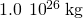 1.0\phantom{\rule{0.2em}{0ex}}\text{×}\phantom{\rule{0.2em}{0ex}}{10}^{26}\phantom{\rule{0.2em}{0ex}}\text{kg}