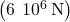 \left(6\phantom{\rule{0.2em}{0ex}}×\phantom{\rule{0.2em}{0ex}}{10}^{6}\phantom{\rule{0.2em}{0ex}}\text{N}\right)