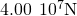 4.00\phantom{\rule{0.2em}{0ex}}×\phantom{\rule{0.2em}{0ex}}1{0}^{7}\text{N}