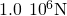 1.0\phantom{\rule{0.2em}{0ex}}×\phantom{\rule{0.2em}{0ex}}{10}^{6}\text{N}