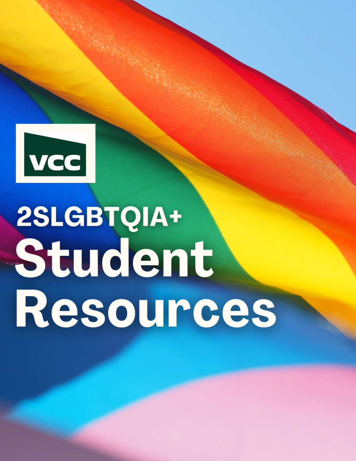 Cover image for 2SLGBTQIA+ Student Resource Guide