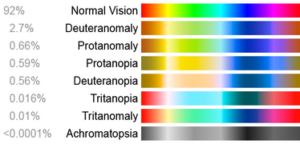 Map of different forms of color vision and which colors are seen. 92% have normal vision, 2.7% have deuteranomaly and the other 6 forms of color impairment are less than 1 percent of the population