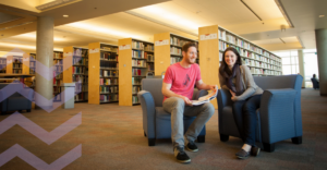 two people sitting in comfy chairs in front of library shelves full of books.