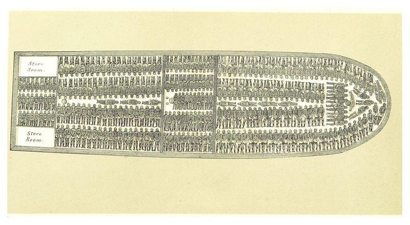 Illustration of a slave ship’s human cargo under conditions that often saw more than 10% of the slaves on board perish.