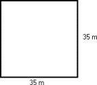 a square whose sides are 35m