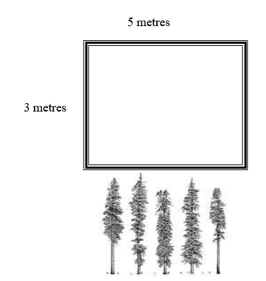 5 metres Width by 3 metres length.