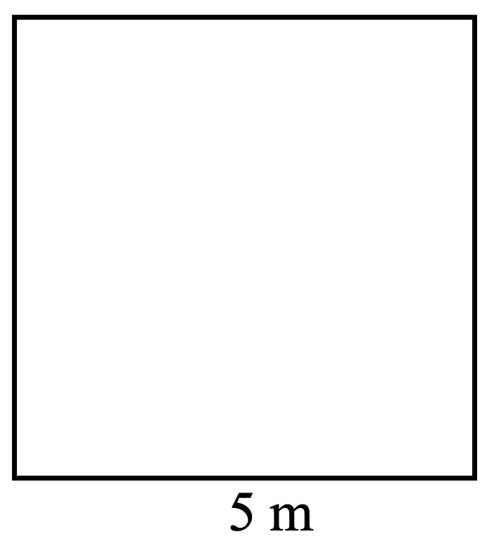 square. side 5 metres