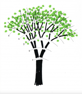 Hand-painted tree with five horizontal curved dotted lines numbered one to five, beginning with one at mid-trunk and five near the top of the green leaves. The lines break the branches into sections like in a tree diagram, where each sub-group has more parts than the previous group.